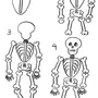 Как нарисовать скелет человека