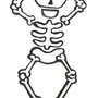 Как нарисовать скелет человека