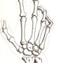 Рука скелета рисунок