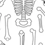 Скелет рисунок для детей