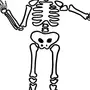 Скелет Рисунок Для Детей