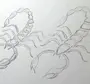 Как Нарисовать Скорпиона