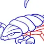 Как нарисовать скорпиона