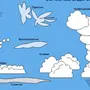Виды облаков рисунок