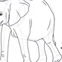 Нарисовать Слона 1 Класс