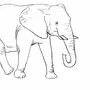 Нарисовать слона 1 класс