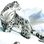 Снежный Барс Рисунок