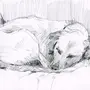 Собака лежит рисунок