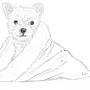 Рисунок собаки карандашом