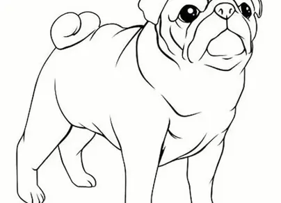 Рисунок собаки легкий для срисовки