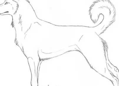 Сидячая собака рисунок