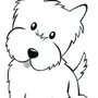 Собака Рисунок Черно Белый