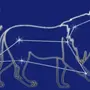 Как нарисовать созвездие льва