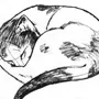 Спящий котик рисунок