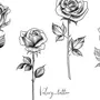 Как нарисовать лепестки роз