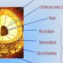 Строение солнца рисунок