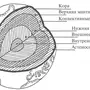 География