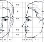 Схема Головы Человека Рисунок