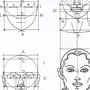 Схема головы человека рисунок