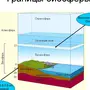 Нарисуйте схему границы биосферы