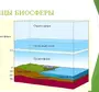 Нарисуйте схему границы биосферы