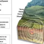 Процесс Землетрясения Рисунок