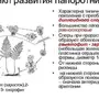 Схема развития папоротника биология 6 класс рисунок