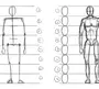 Как нарисовать тело человека поэтапно