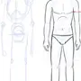 Как нарисовать тело человека поэтапно