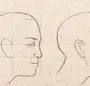 Голова Человека Рисунок