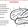 Категория Люди