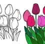 Тюльпаны Рисунок Для Детей