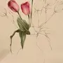Тюльпаны В Вазе Рисунок Карандашом