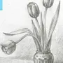 Тюльпаны в вазе рисунок карандашом
