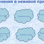 Фенологические изменения в природе зимой рисунки