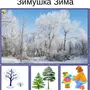 Фенологические изменения в природе зимой рисунки