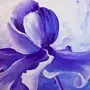 Фиолетовые рисунки
