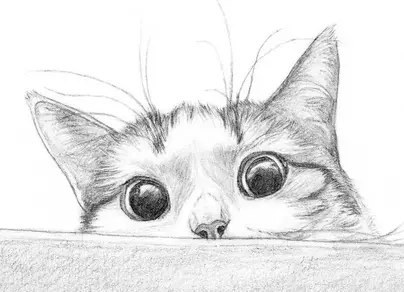 Картинки кошек для срисовки