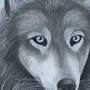 Рисунок Волка Для Срисовки