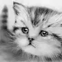 Фото нарисованного кота