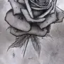 Бутон розы рисунок