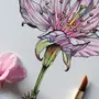 Цветы для срисовки акварелью