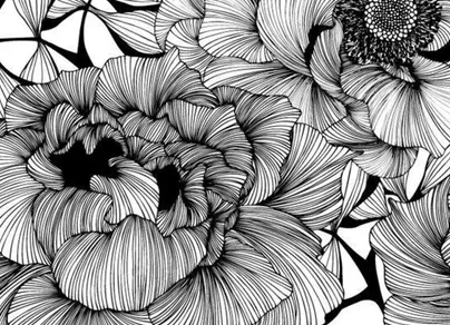 Цветок черно белый рисунок
