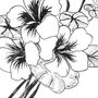 Цветок черно белый рисунок