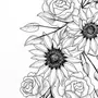Цветок Черно Белый Рисунок