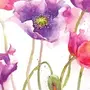 Цветы рисунок акварелью