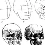 Череп В Профиль Рисунок