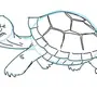 Черепаха Рисунок Для Детей