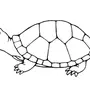 Черепаха рисунок для детей