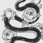 Змея Рисунок Чб
